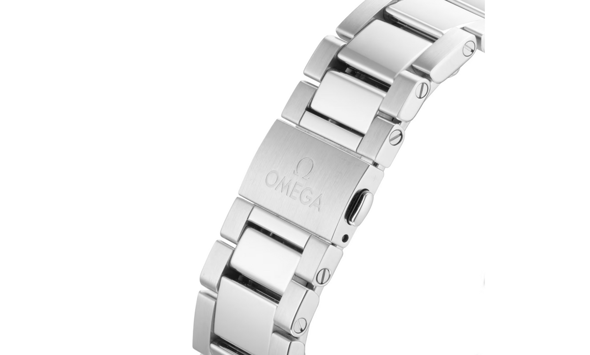 OMG Seamaster Aqua Terra 41mm Mens Watch