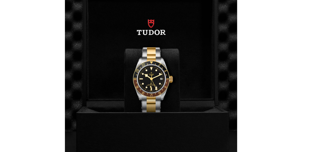 TDR Black Bay GMT S&G